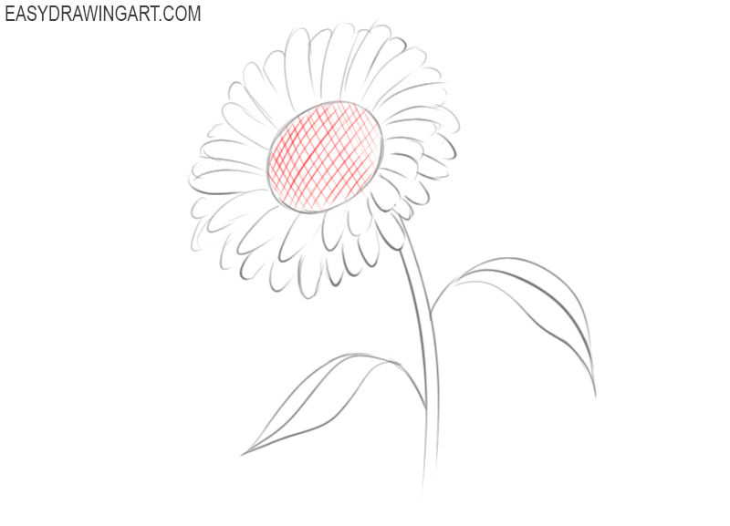 how to draw a sunflower by pencil