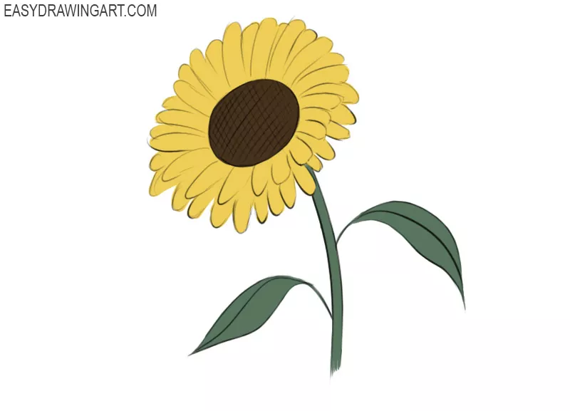 simple sunflower drawings