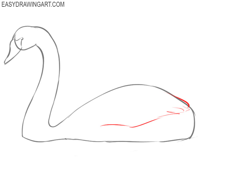 how to draw a swan easily