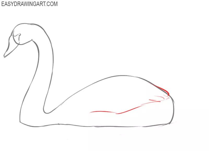 how to draw a swan easily