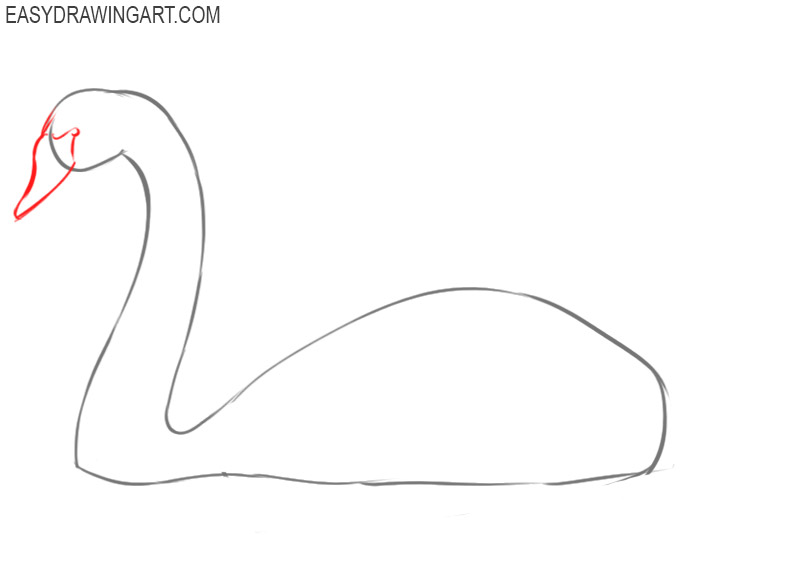 how to draw a swan easy