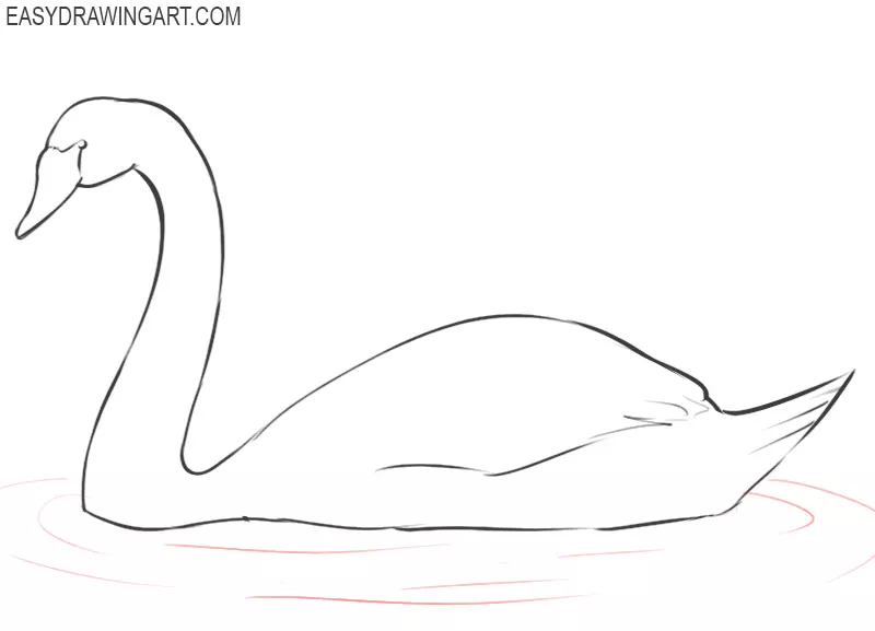 how to draw a swan on a lake step by step
