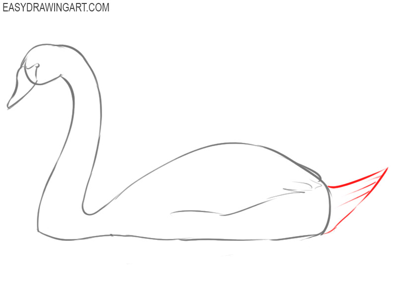 how to draw a swan on a lake
