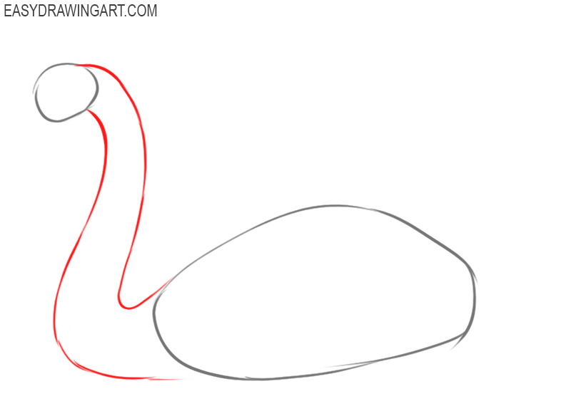 how to draw a swan easy step by step