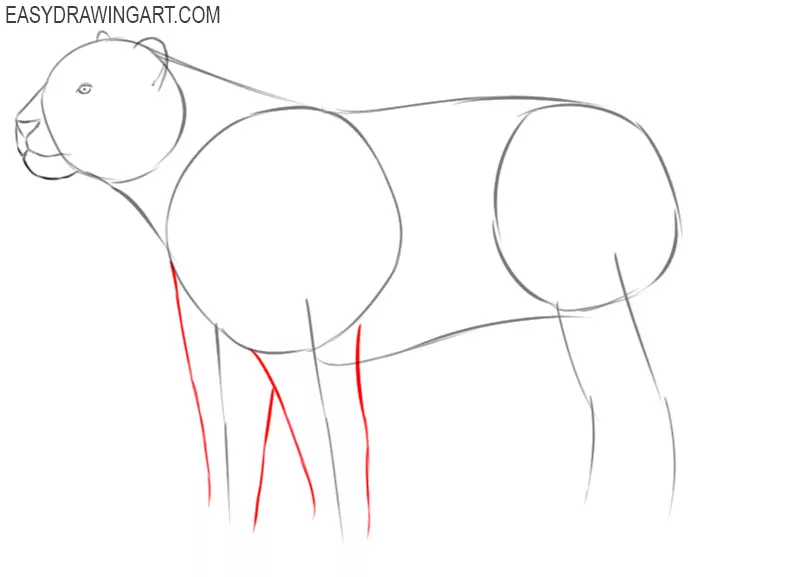 how to draw a tiger body step by step