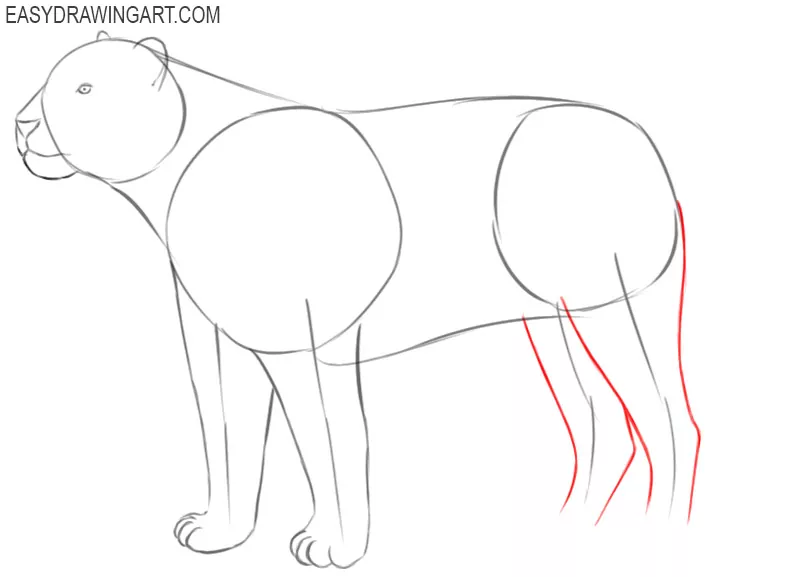 how to draw a tiger cartoon step by step