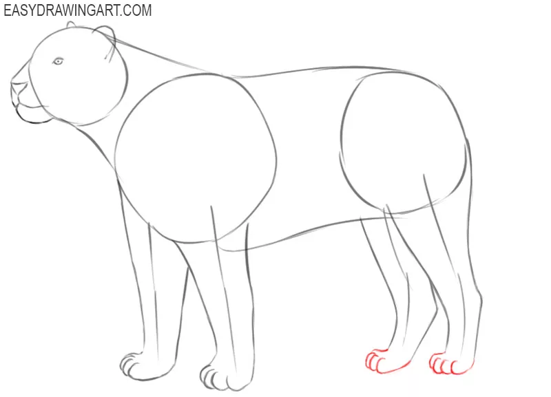 how to draw a tiger draw so cute