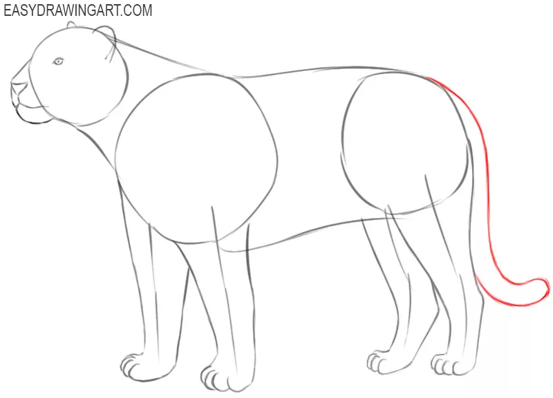 how to draw a tiger easy cute