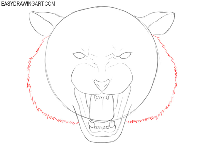 drawing a tiger head