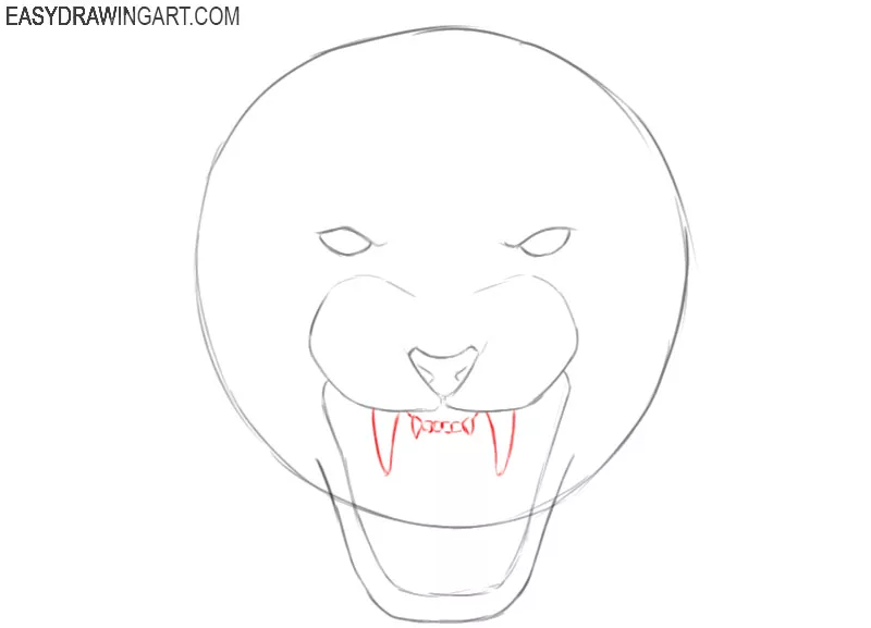 tiger head drawing step by step