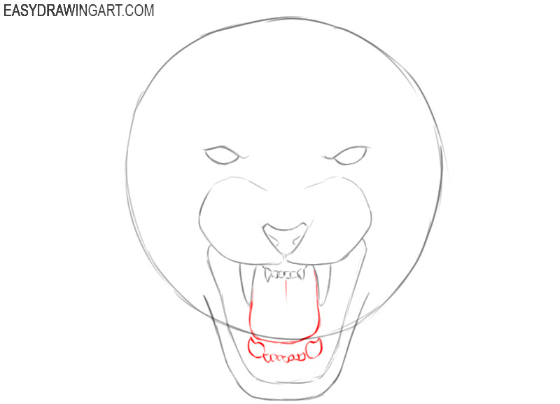 tiger head drawing images