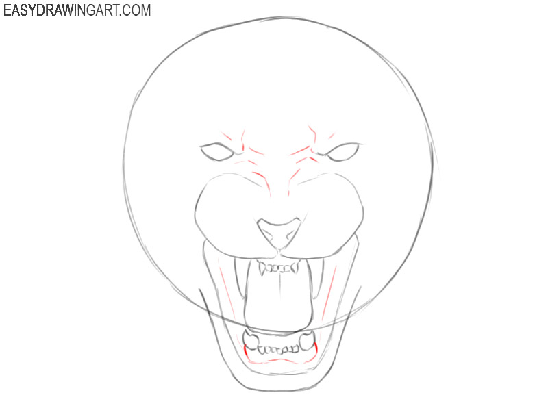 tiger head drawing picture