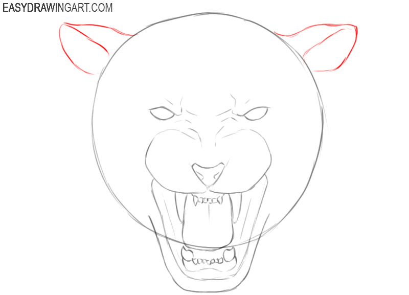 tiger head drawing cartoon