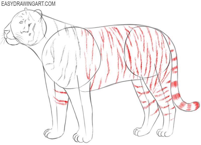 how to draw a tiger easy cartoon