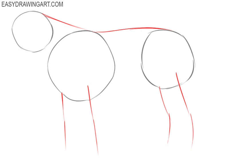 how to draw a tiger easy