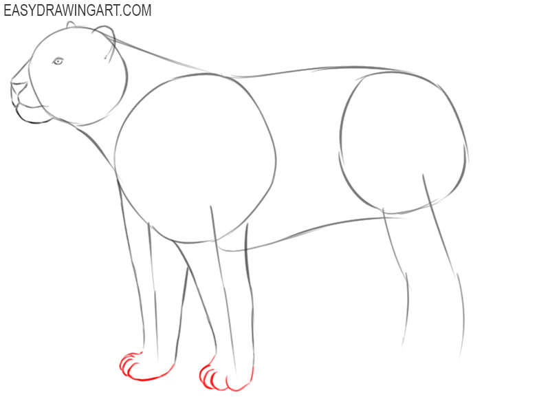 how to draw a tiger cute