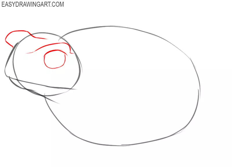 how to draw a toad step by step