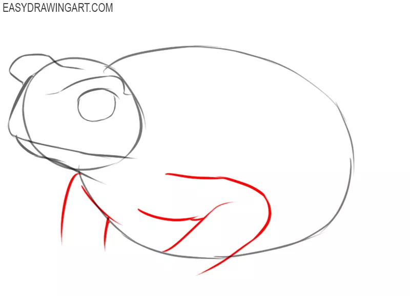 how to draw a toad step by step easy
