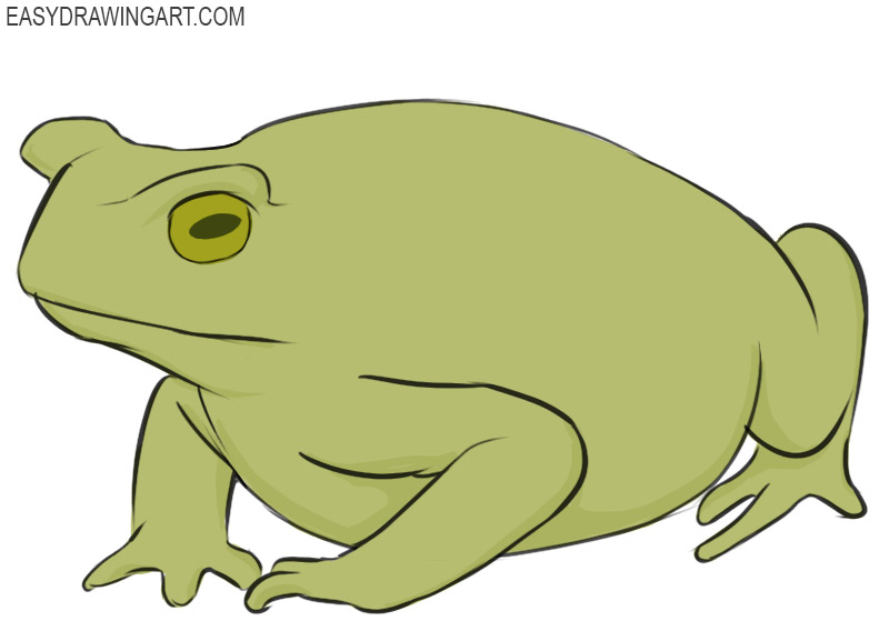 How to Draw a Toad - Easy Drawing Art