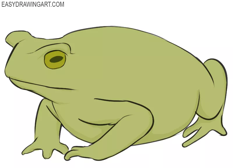 how to draw a toad