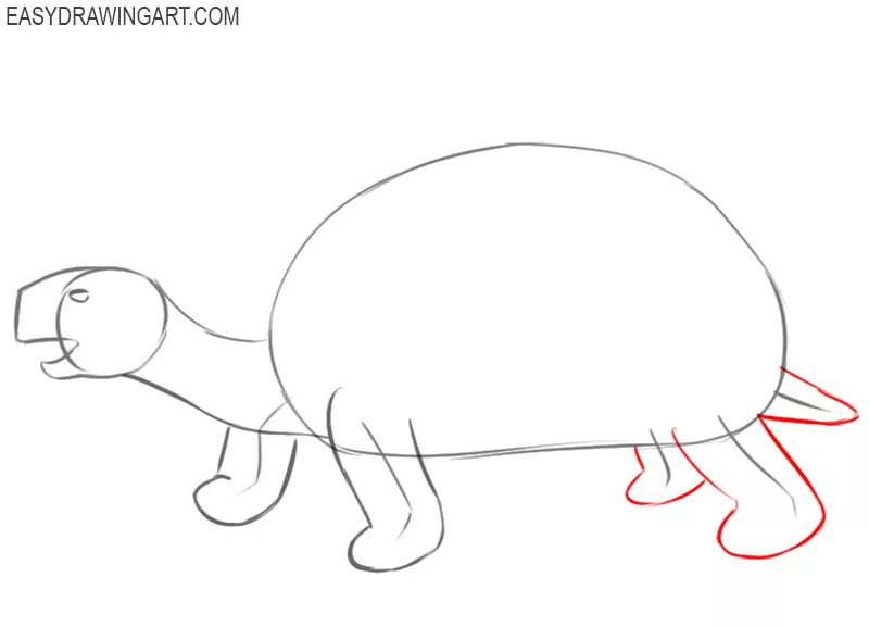 how to draw a tortoise in easy way