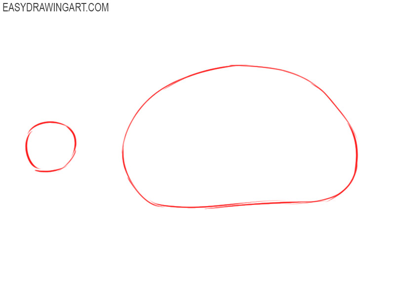 how to draw a tortoise step by step