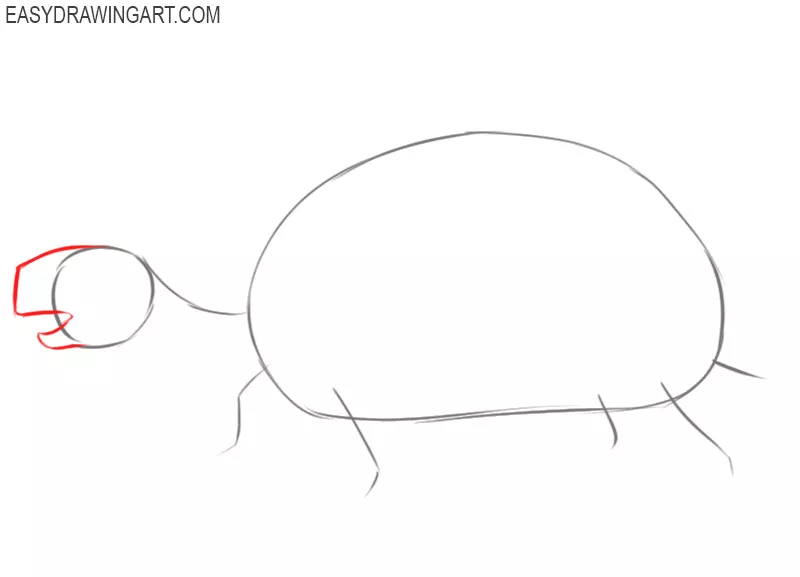how to draw a tortoise step by step easy