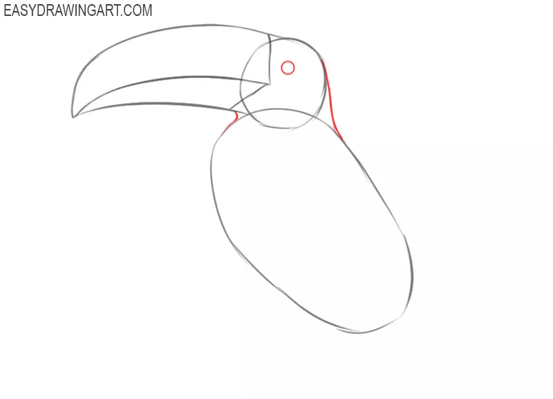 how to draw a toucan bird step by step