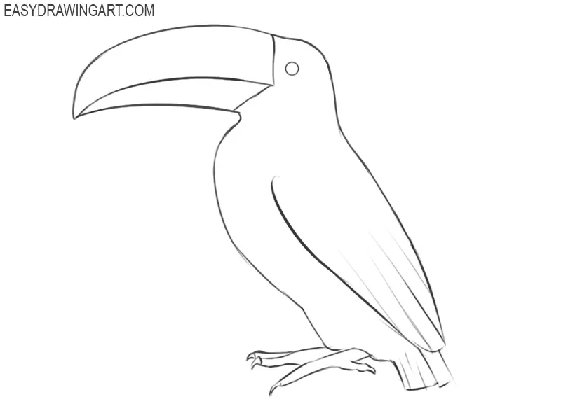 how to draw a toucan draw so cute