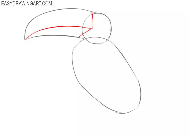 how to draw a toucan easy step by step