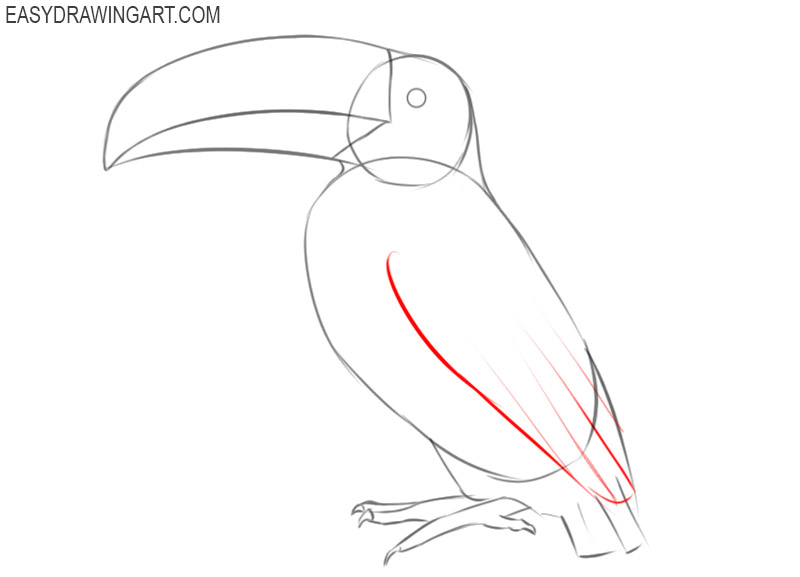 how to draw a toucan step by step cartoon