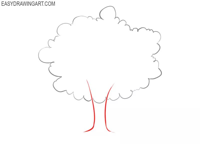 how to draw a tree with branches step by step