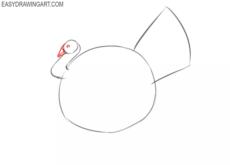 how to draw a turkey bird