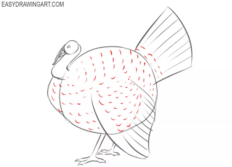 how to draw a turkey easily