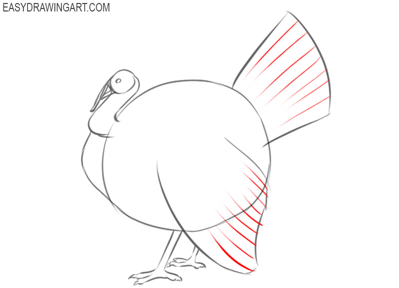 how to draw a turkey easy step by step