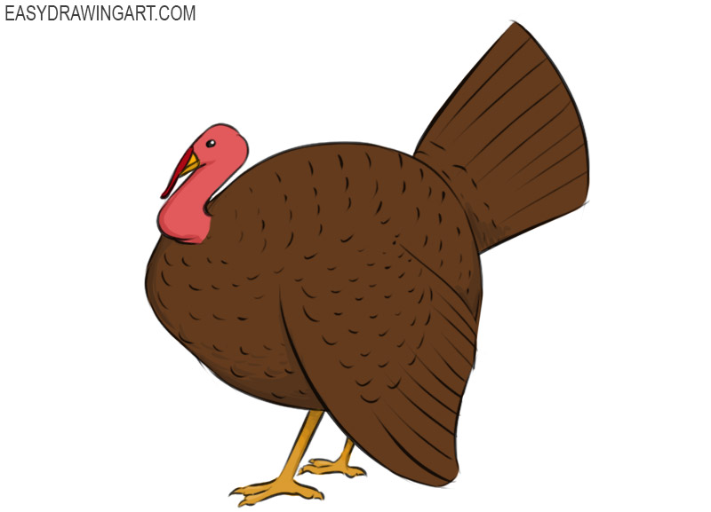 how to draw a turkey