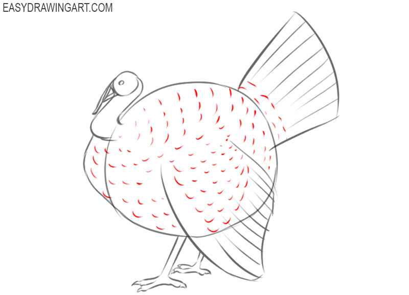 how to draw a turkey easily
