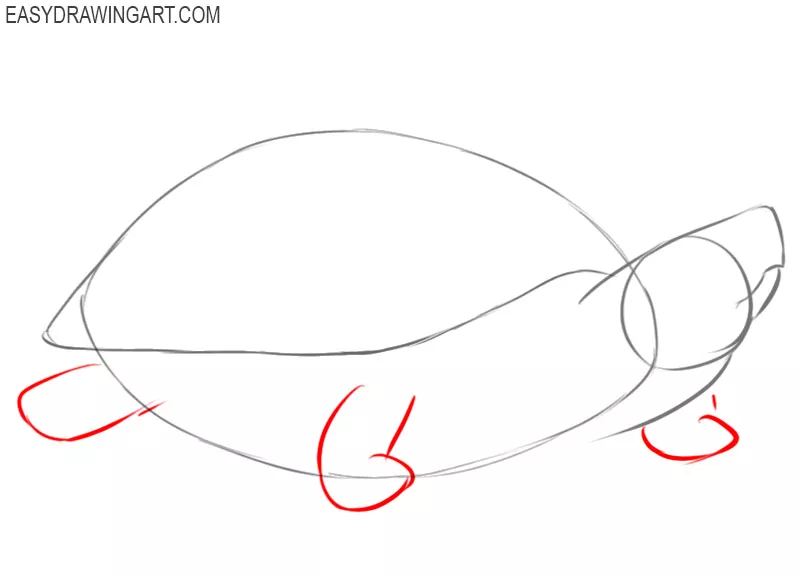 how to draw a turtle by step