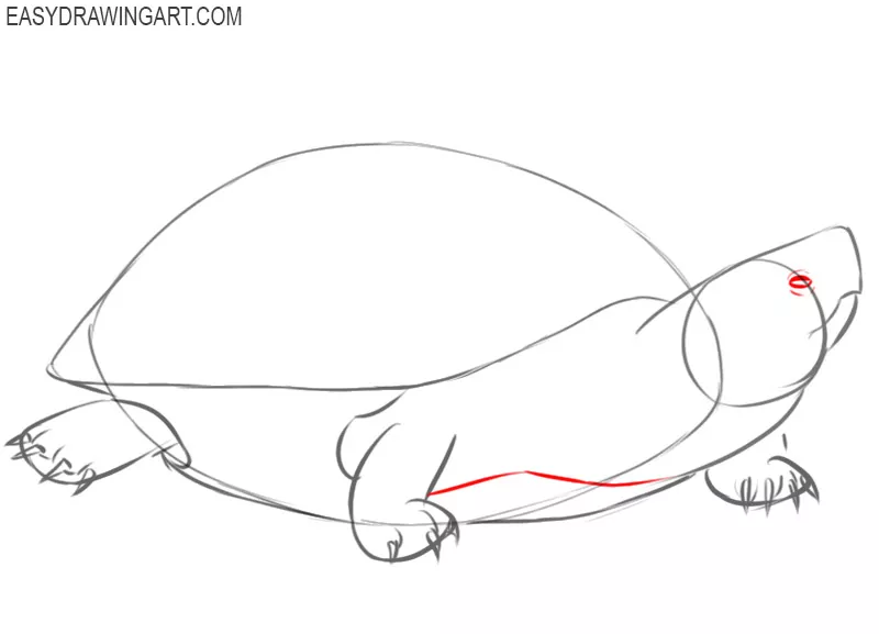 how to draw a turtle cute and easy