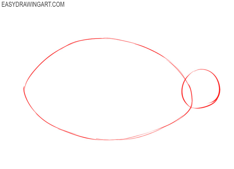 how to draw a turtle easy