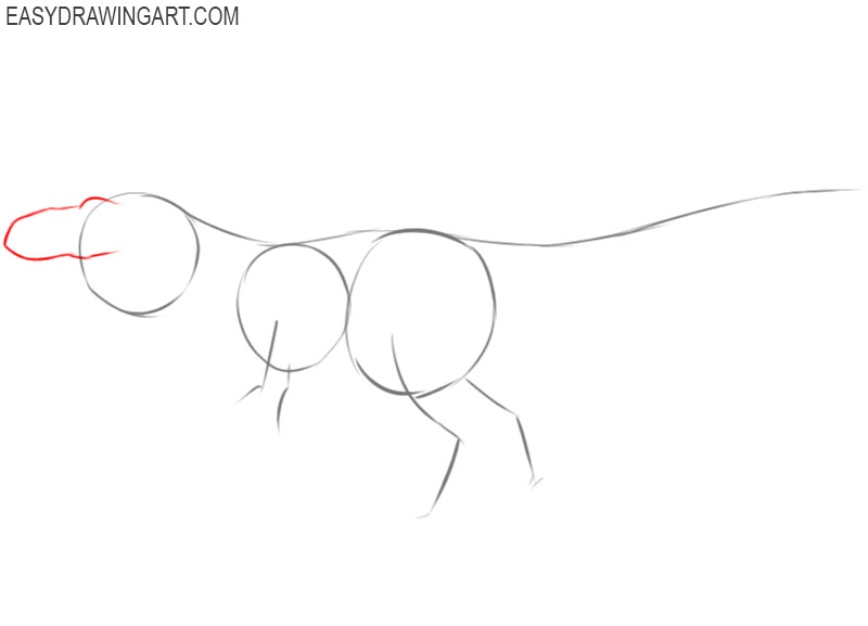 how to draw a tyrannosaurus rex easy