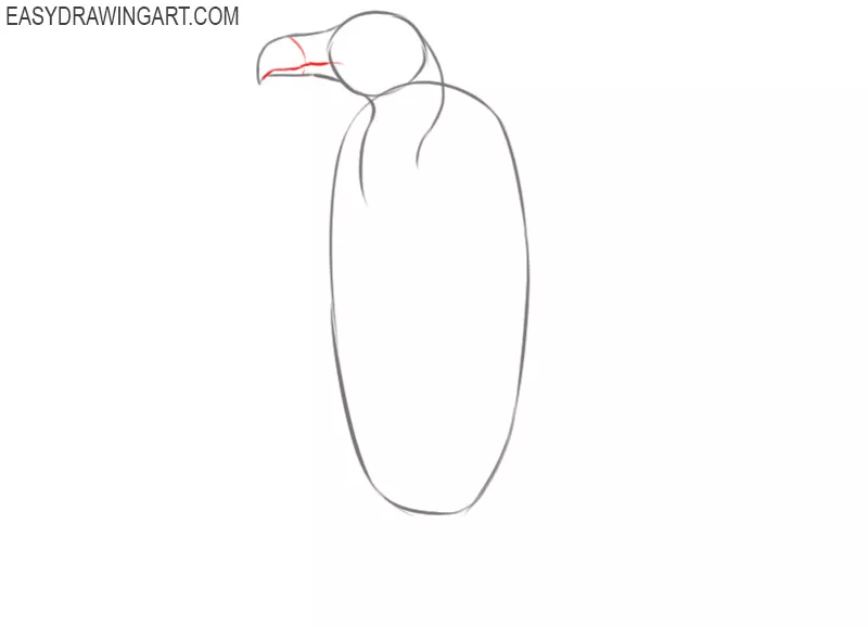 how to draw a vulture easily