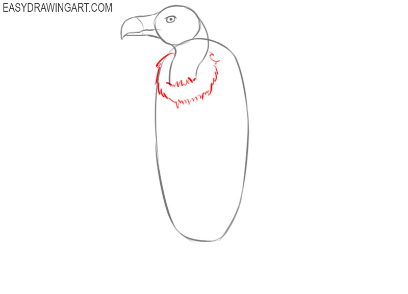 how to draw a vulture in easy way
