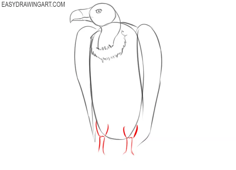 how to draw easy cartoon vulture