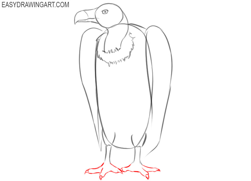 vulture drawing easy