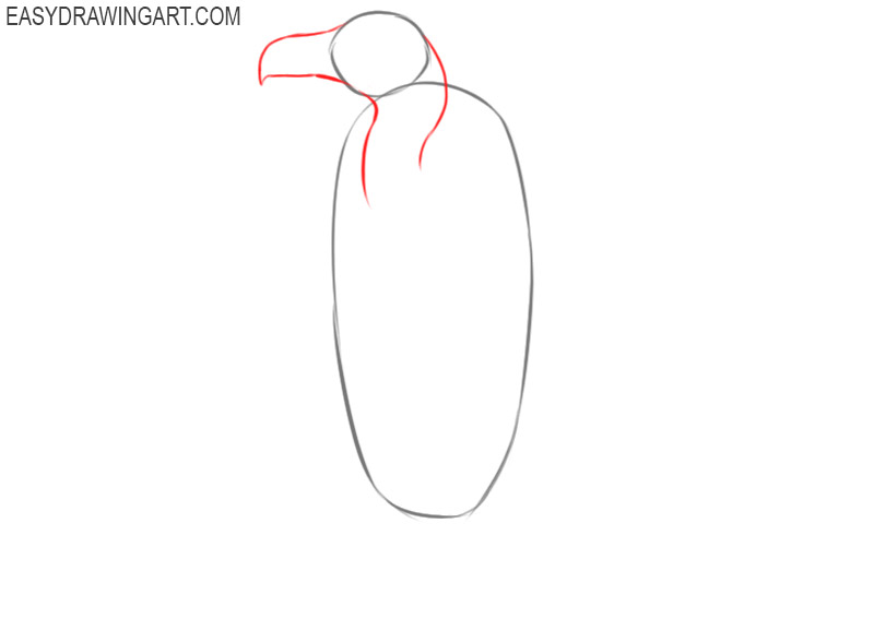 how to draw a vulture step by st