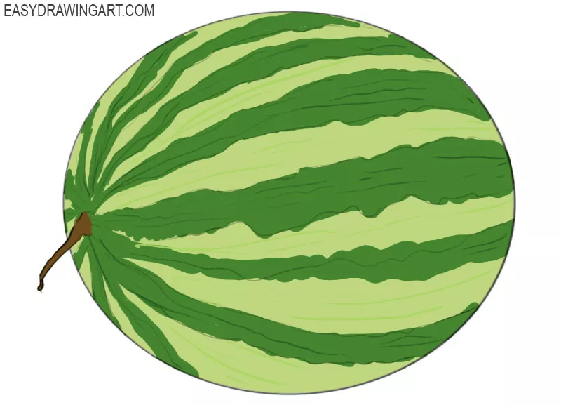 How to Draw a Watermelon - Easy Drawing Art