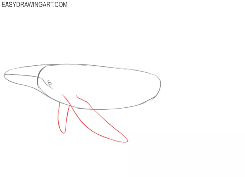 how to draw a whale cartoon