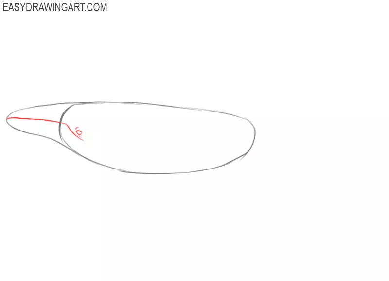 how to draw a whale step by step easy