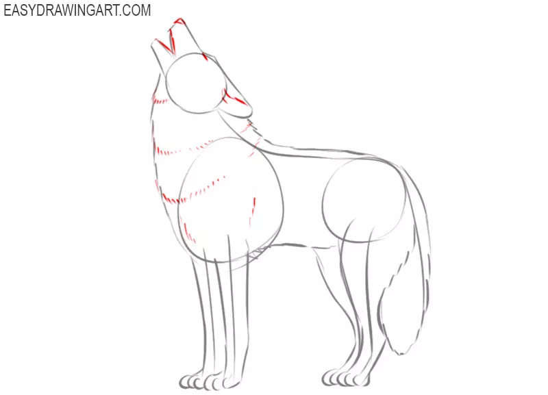 how to draw a wolf cute and easy